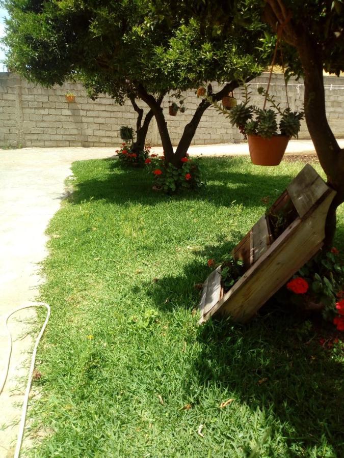 ג'יצריה B&B Villa Del Sole מראה חיצוני תמונה