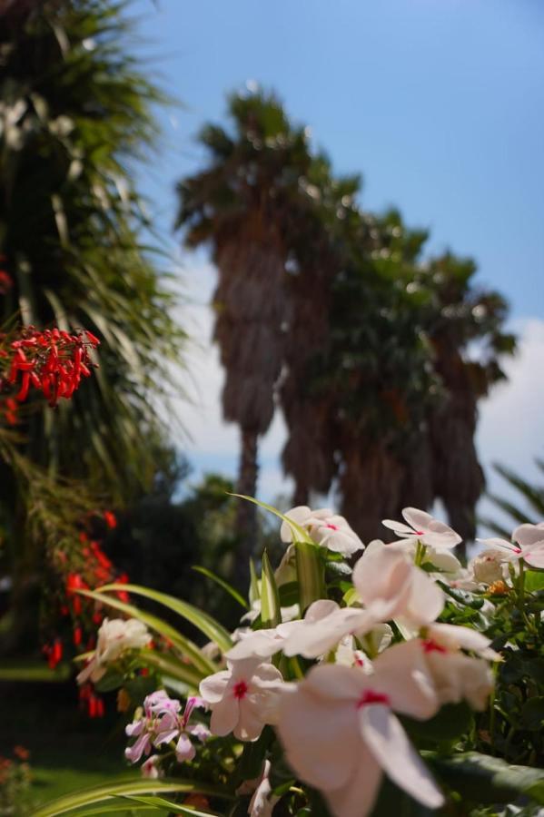 ג'יצריה B&B Villa Del Sole מראה חיצוני תמונה