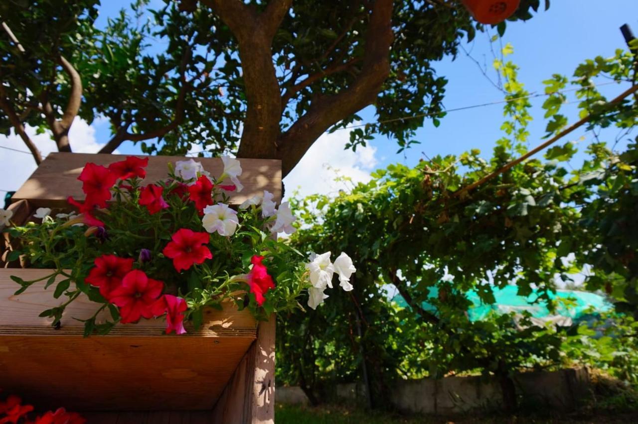 ג'יצריה B&B Villa Del Sole מראה חיצוני תמונה