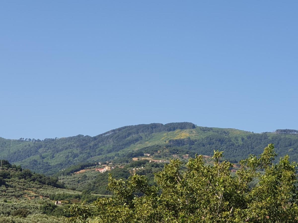 ג'יצריה B&B Villa Del Sole מראה חיצוני תמונה