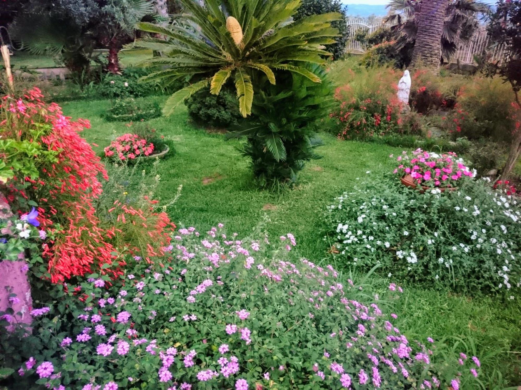 ג'יצריה B&B Villa Del Sole מראה חיצוני תמונה
